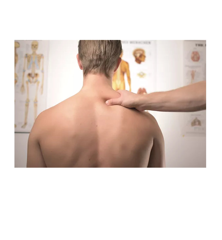 Chiropractic Connection